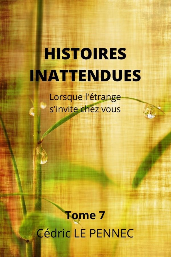 HISTOIRES INATTENDUES Tome 7